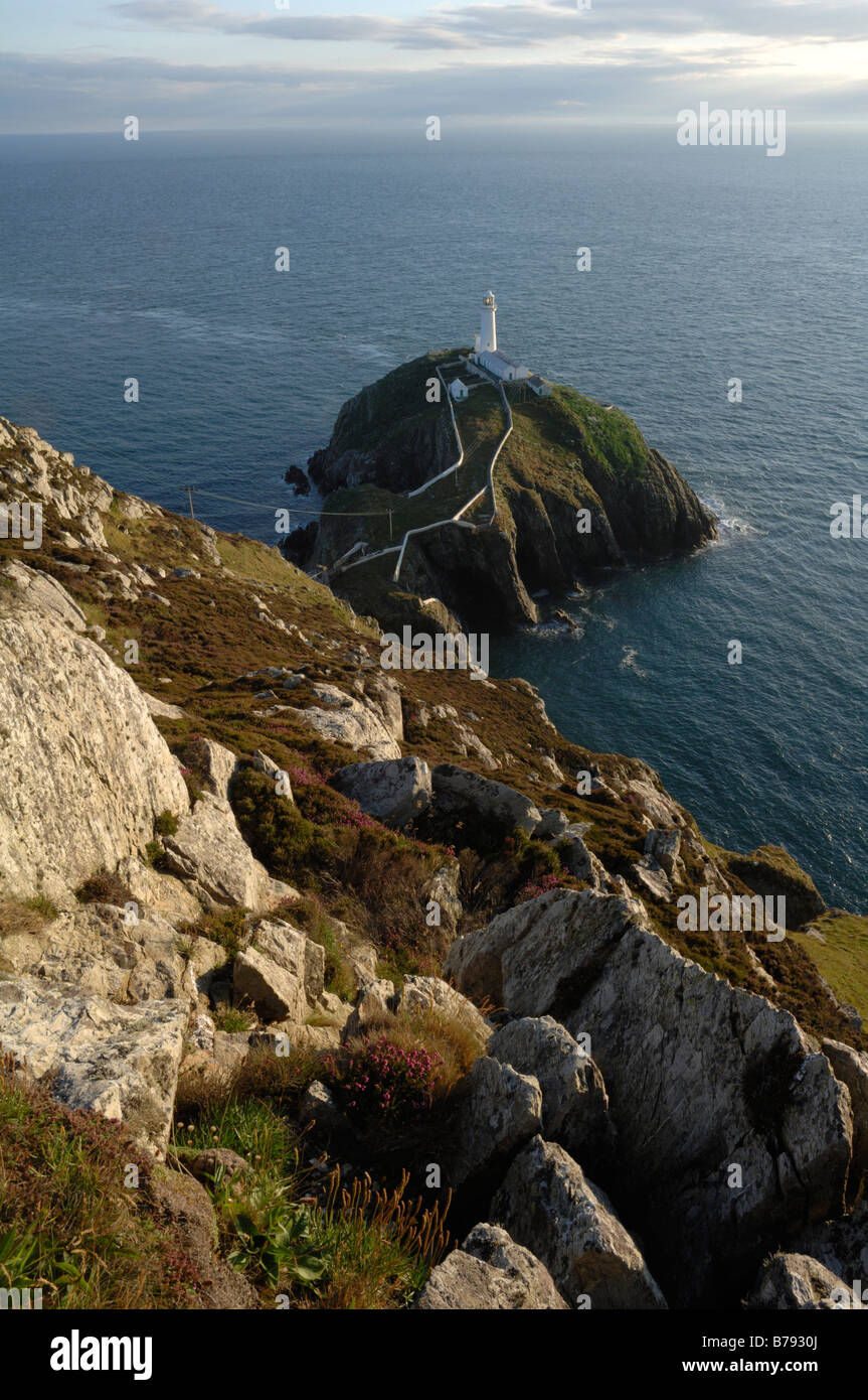 Leuchtturm, South Stack Klippen, Holyhead, Anglesey, North Wales, UK, Europa Stockfoto