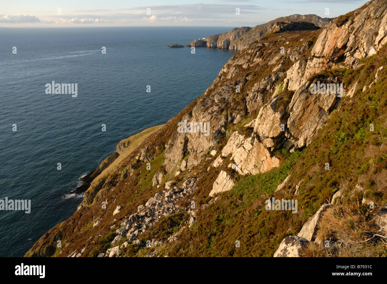 South Stack Klippen, Holyhead, Anglesey, North Wales, UK, Europa Stockfoto