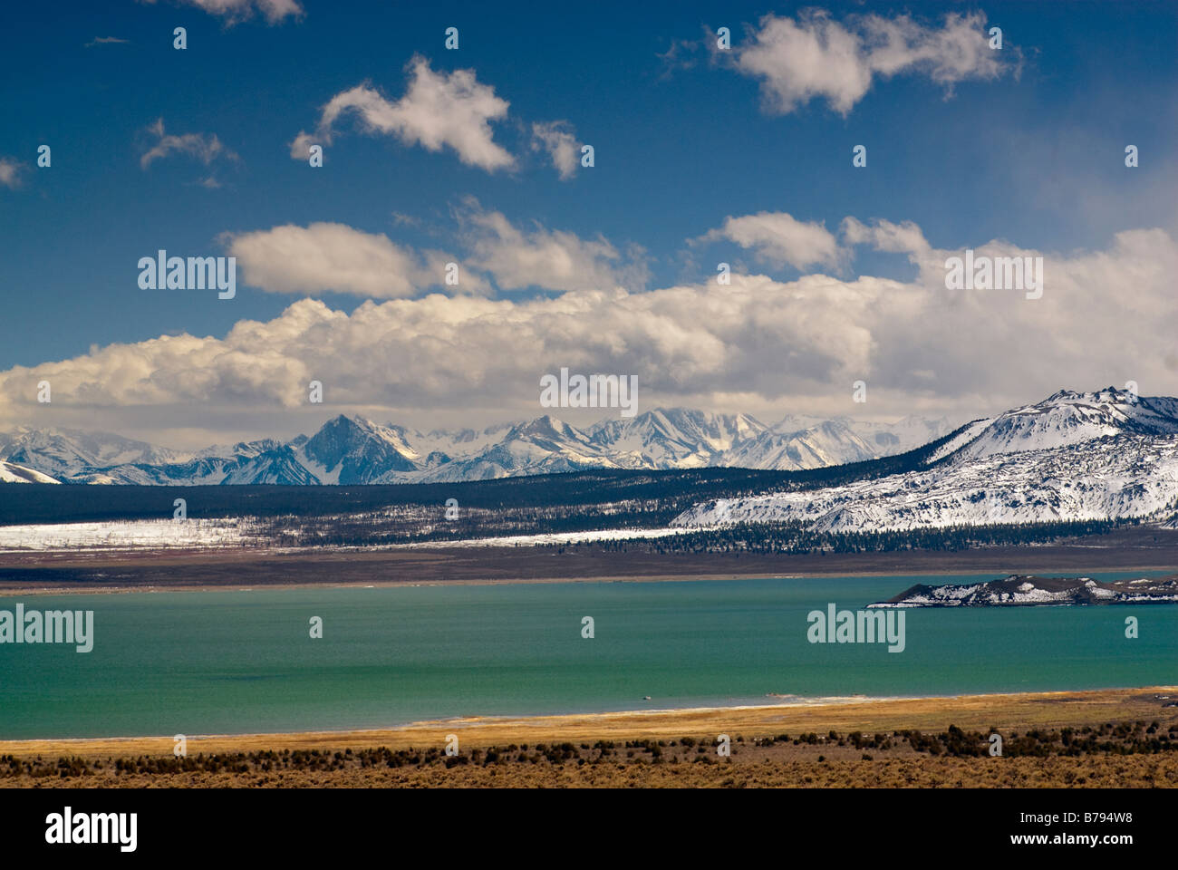 Mono Lake Kalifornien USA Stockfoto