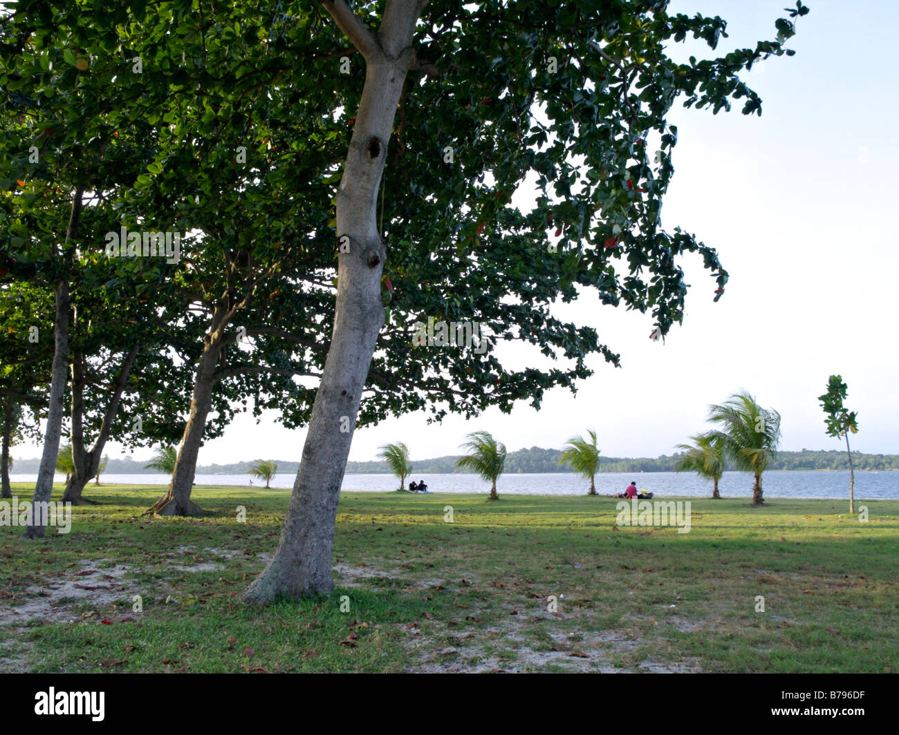 Strand, Singapur Changi Stockfoto