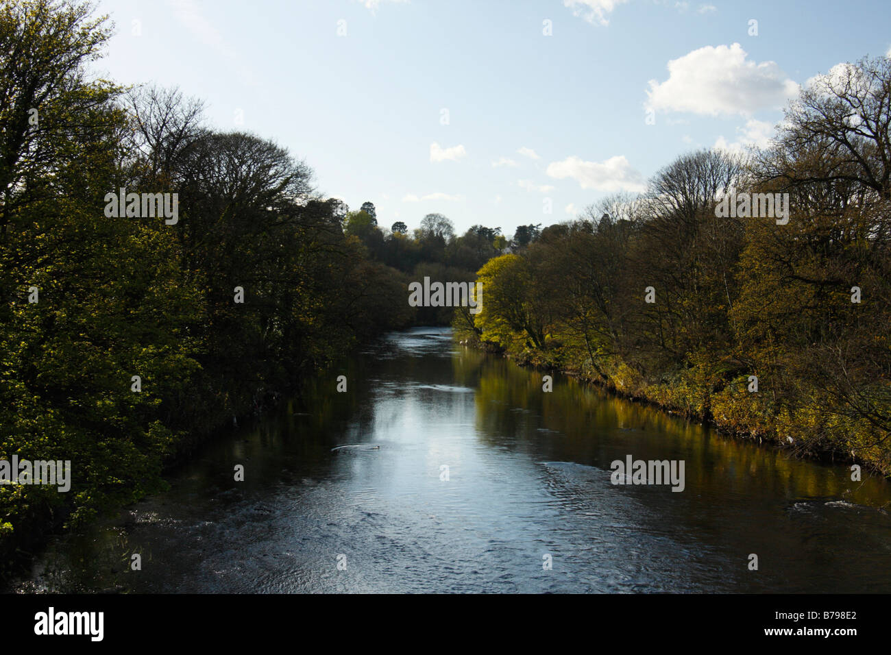 Der Fluss Taff im Radyr, Cardiff, Südwales, Vereinigtes Königreich Stockfoto