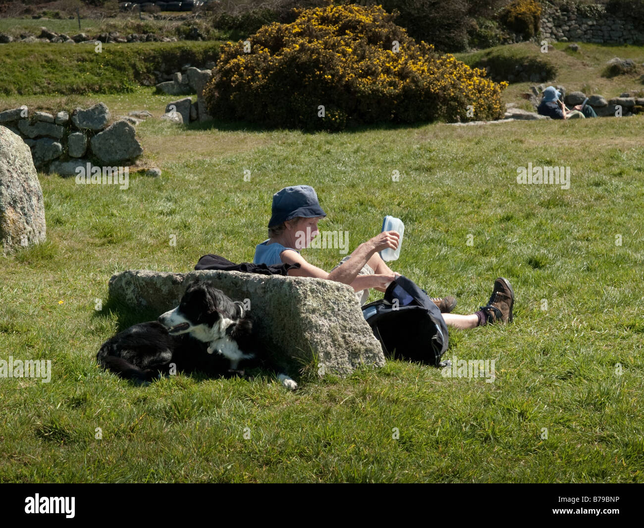 Rambler und ihr Hund ruht Stockfoto