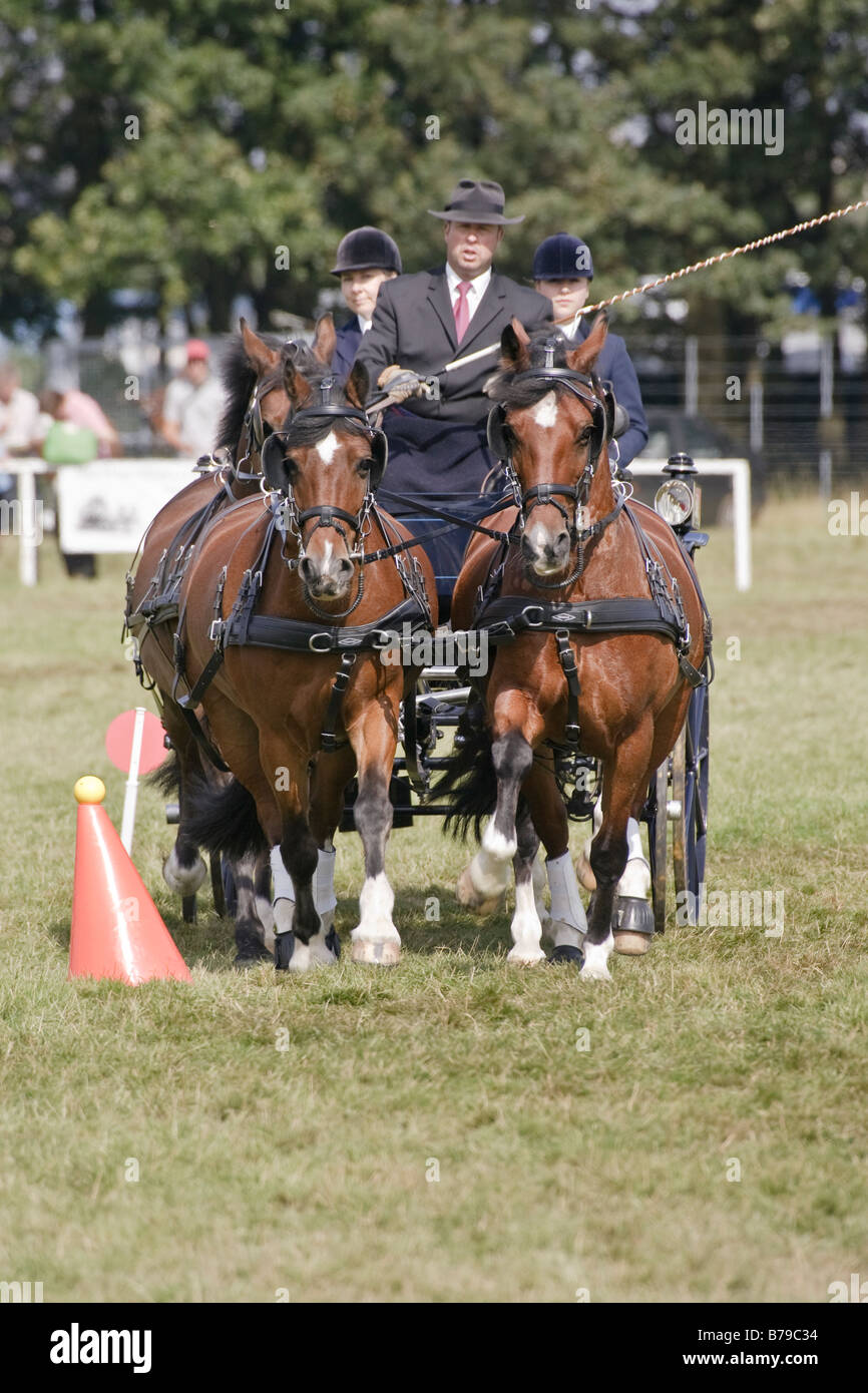 Gary Power in Pony Vieren Nationalmeisterschaft Kegel Phase bei der BHDTA Stockfoto