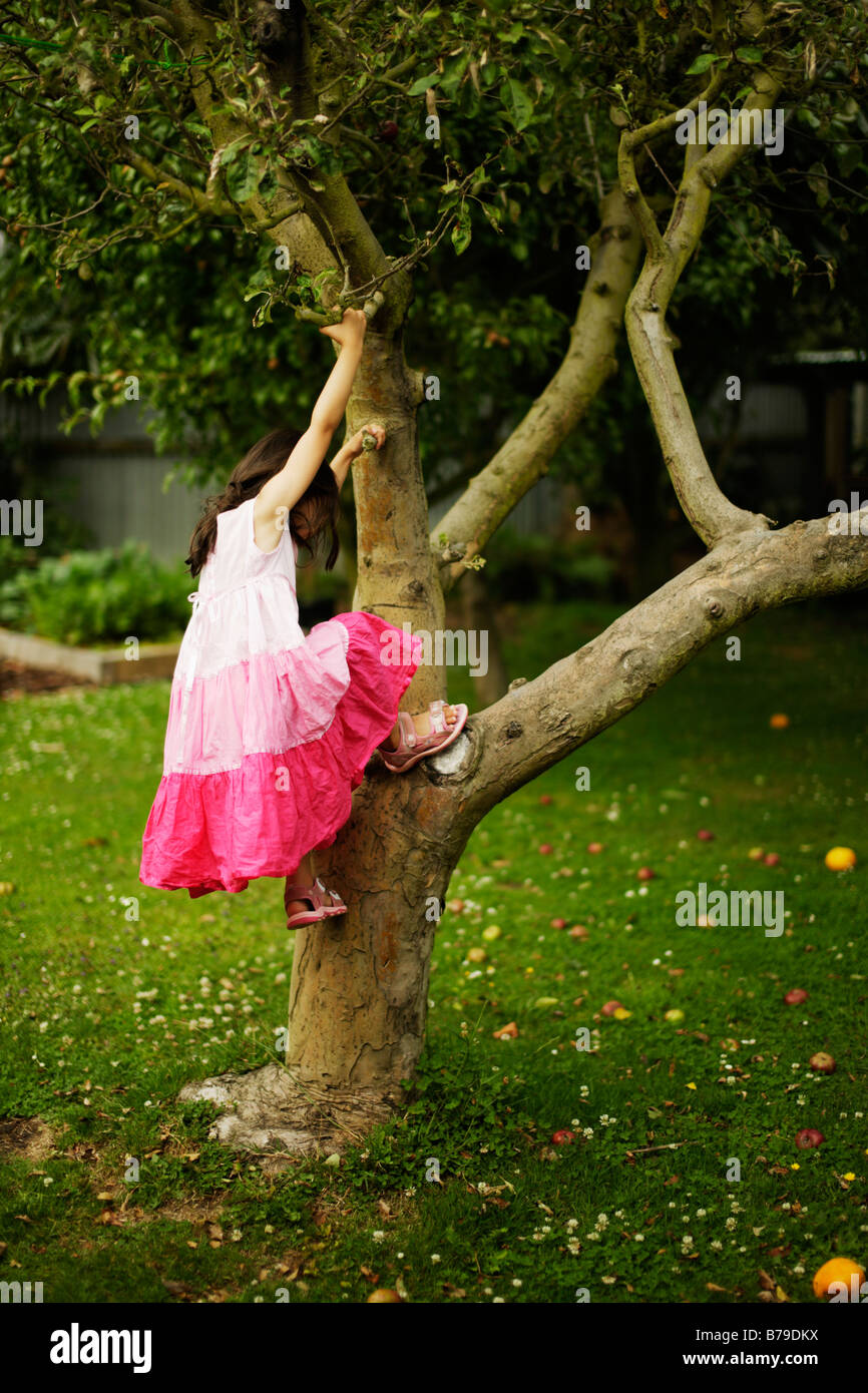 Fünf Jahre altes Mädchen klettert einen Apfelbaum Stockfoto