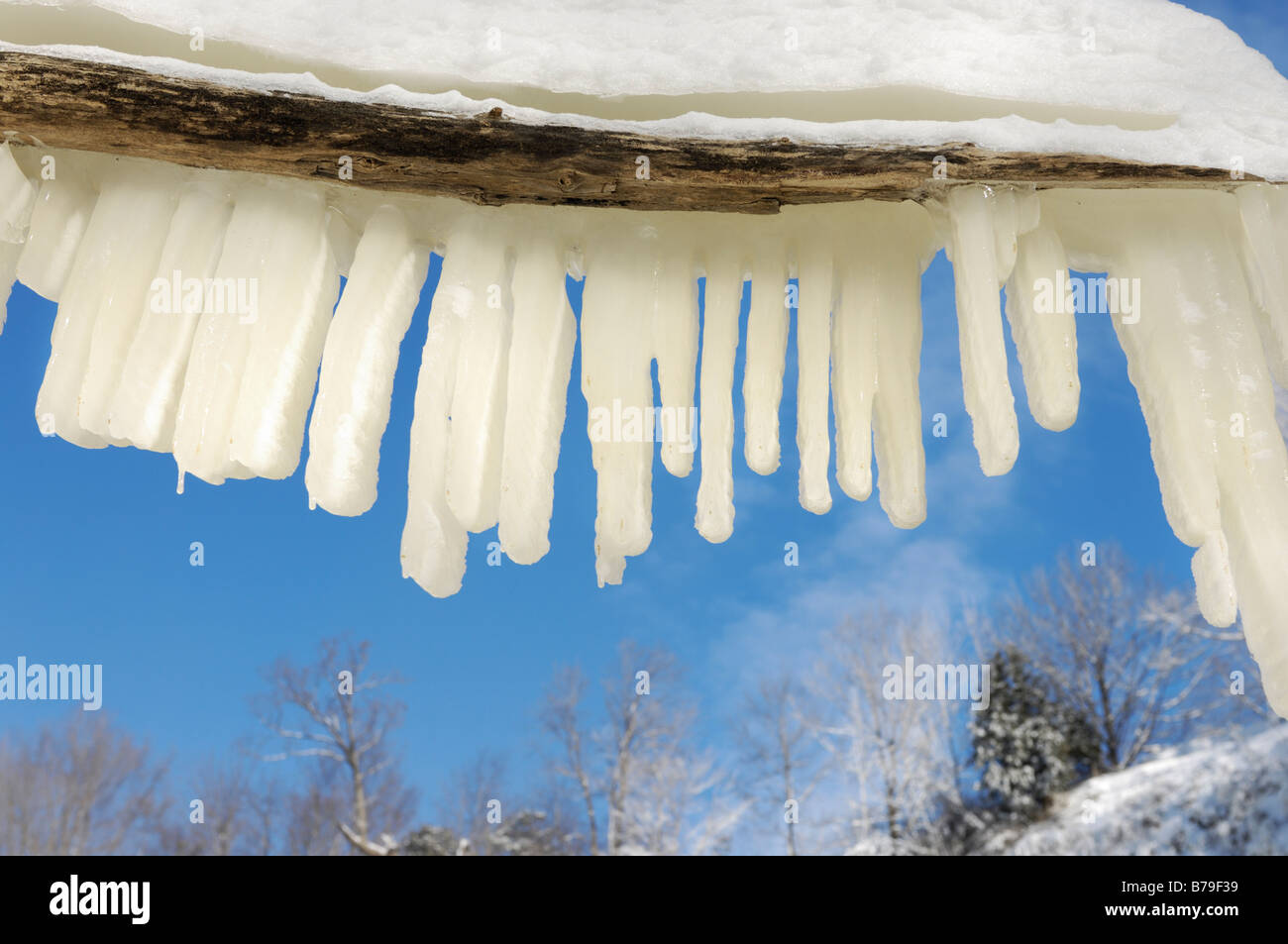 Lustige eiszapfen Fotos und Bildmaterial in hoher Auflösung Alamy