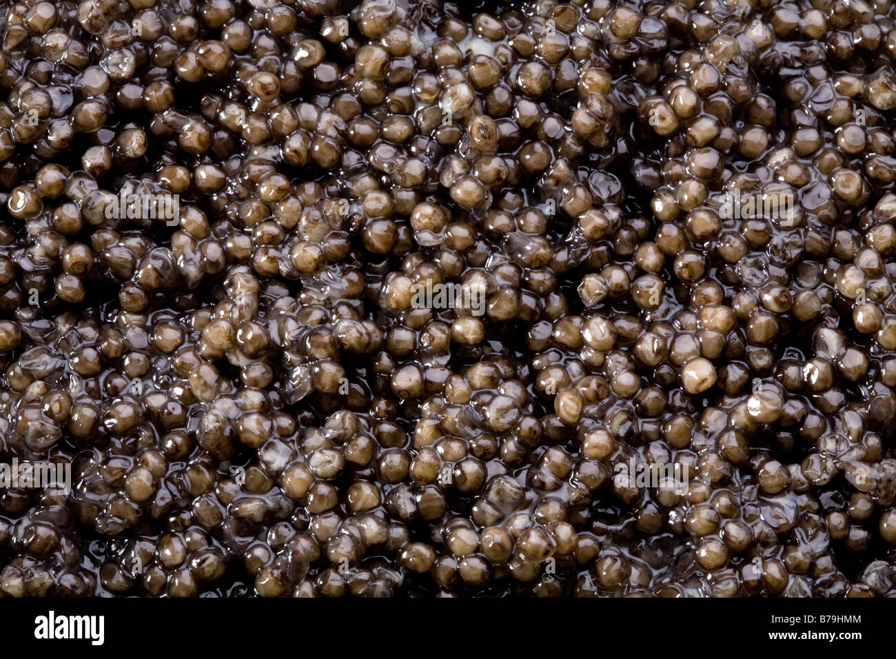 Kaviar schwarz Stockfoto