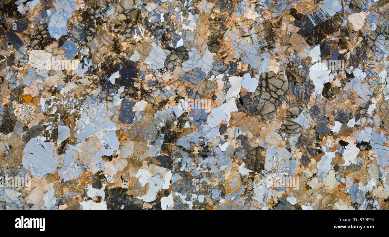 Mikrophotographie eines Biotit-Granit-Folie-Sektion Kreuz polarisiertes Licht zeigt Differenzierung zwischen den verschiedenen Mineralien. Stockfoto