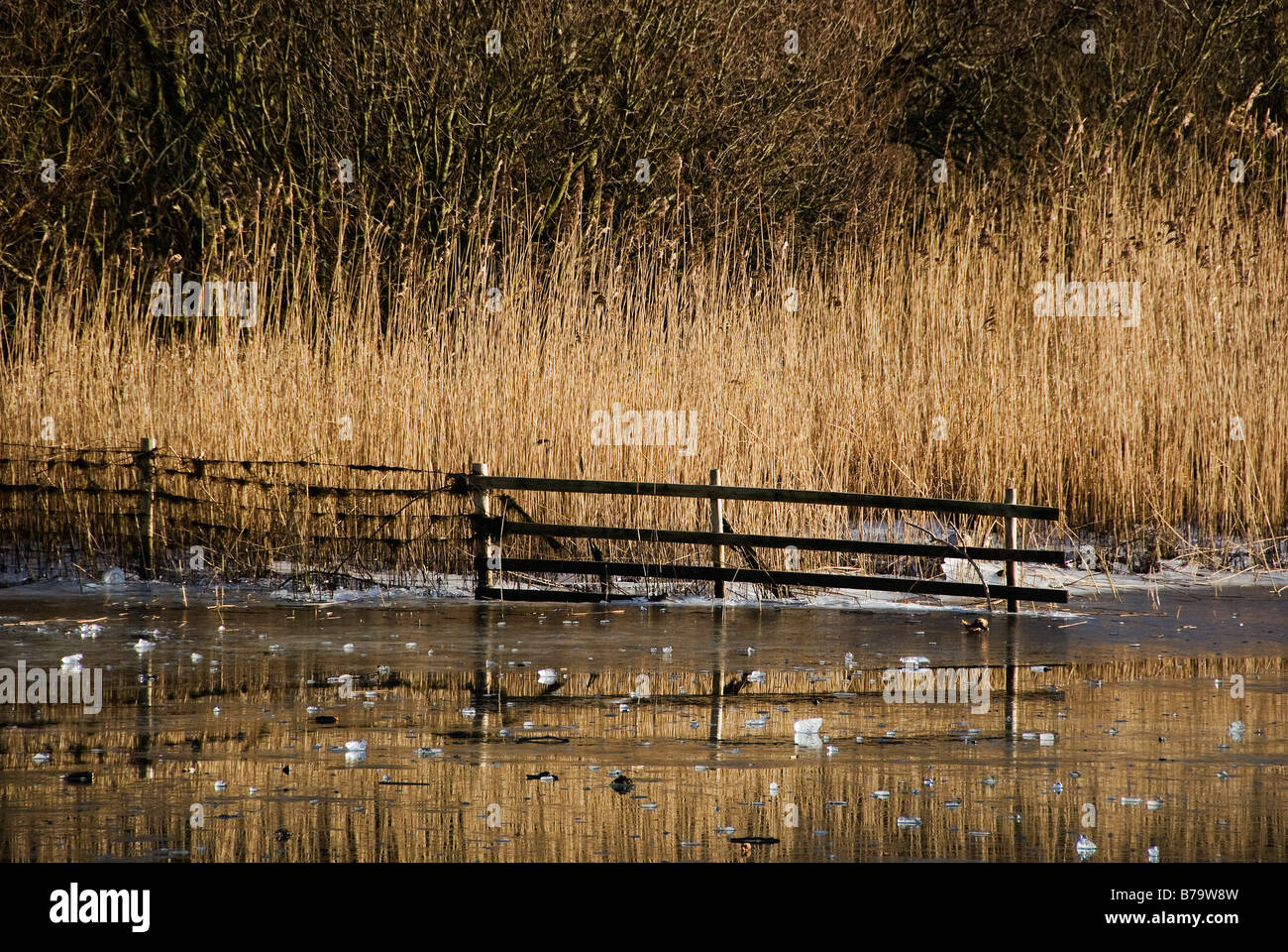 Fotograf und eisigen Gewässern, Derwent water Stockfoto