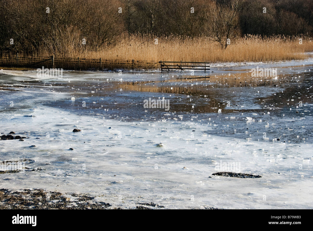 Fotograf und eisigen Gewässern, Derwent water Stockfoto