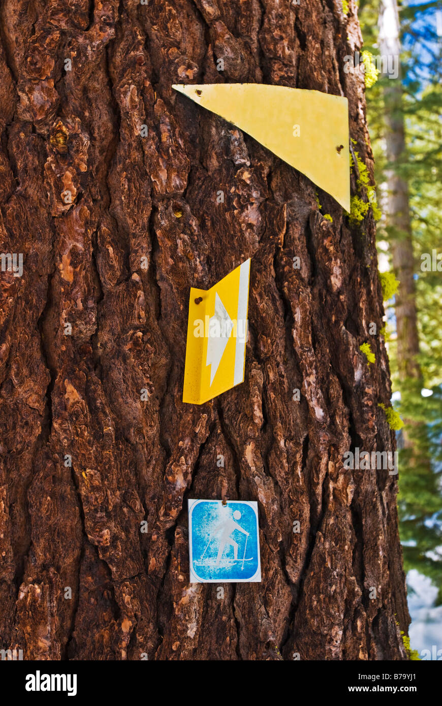 Cross Country Ski Trail Marker bei Glacier Point Yosemite Nationalpark in Kalifornien Stockfoto