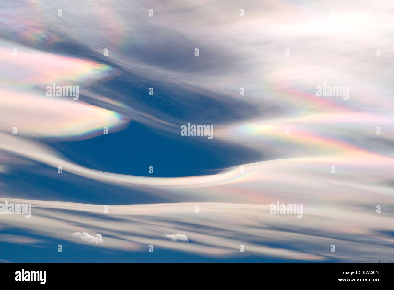 Nahaufnahme der Höhenlage linsenförmige Wolken gegen ein strahlend blauer Himmel mit Regenbogen farbige Linse-wie Färbungen an Rändern Stockfoto