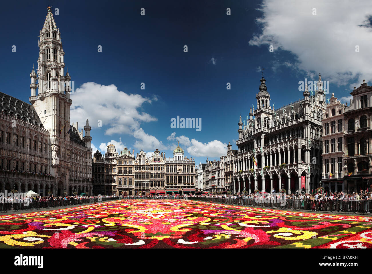 Blume Display 2008 in Brüssel Grand Place Stockfoto
