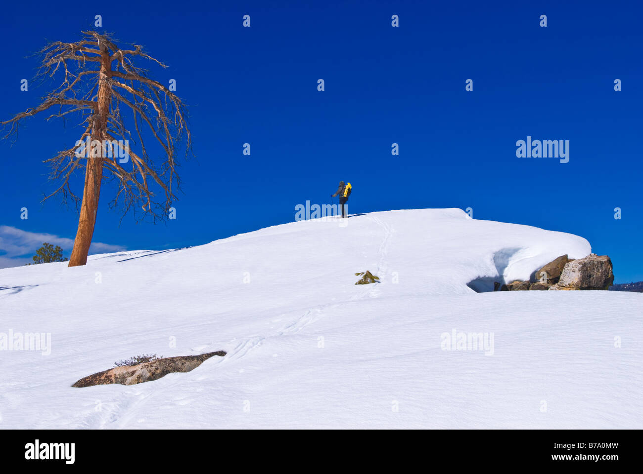 Backcountry Skifahrer an Taft Point Yosemite National Park California Stockfoto