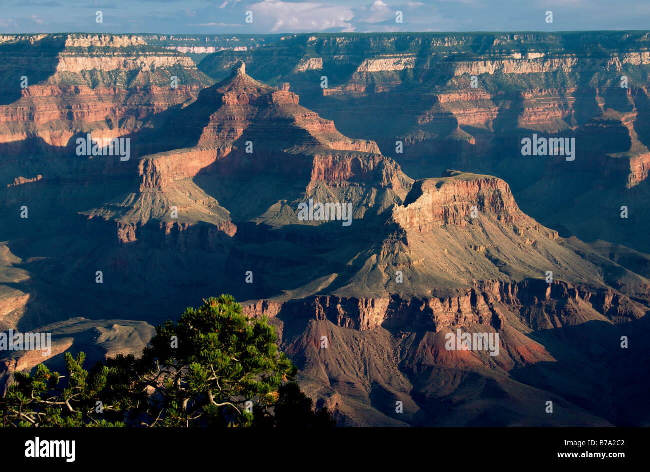 Am frühen Morgen South Rim Grand Canyon Arizona USA Stockfoto