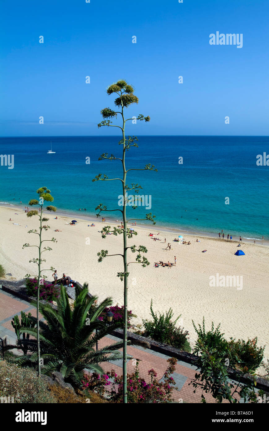 Strand von Morro Jable, Jandia, Fuerteventura, Kanaren, Spanien Stockfoto