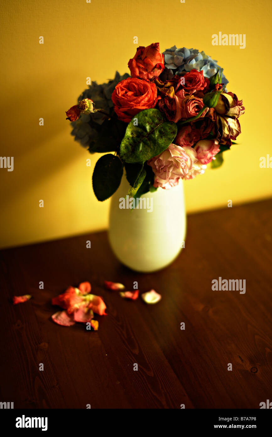 Vase aus alten sterben Blumen Rosen und Hortensien Stockfoto