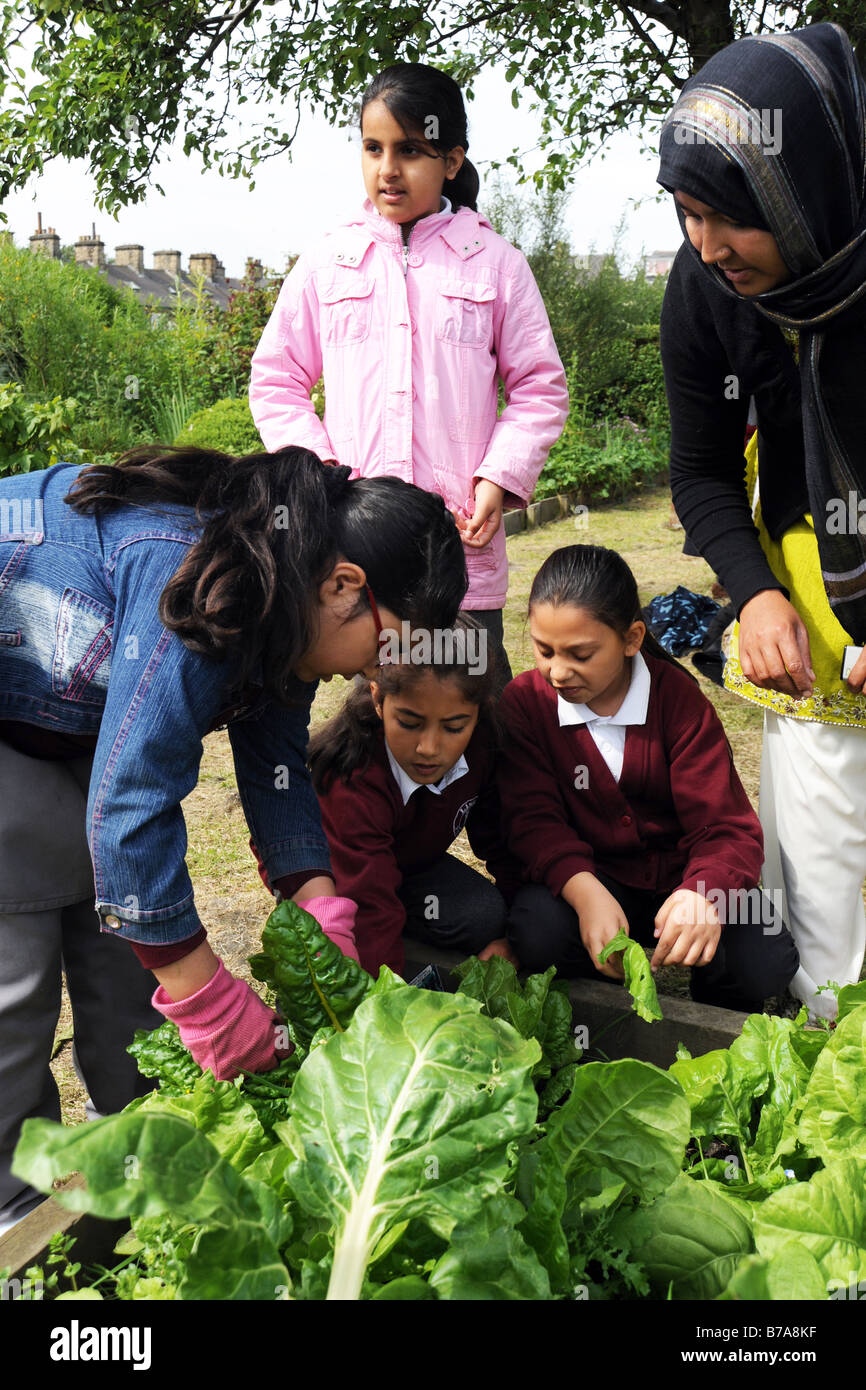 Kinder besuchen eine lokale Zuteilung Projekt erfahren Gartenbau und Umwelt Stockfoto