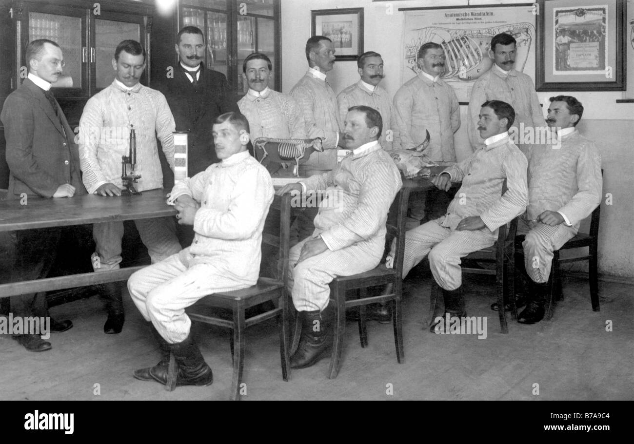 Historisches Foto, angehende Tierärzte Stockfoto
