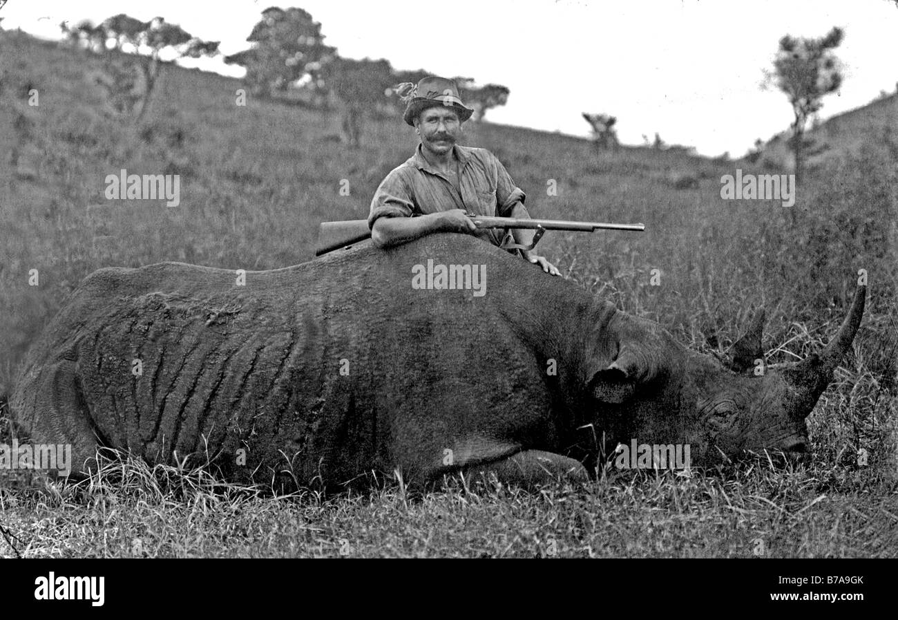 Historisches Bild, Jäger posiert hinter einem Gefangenen Rhinozerus, getroffen um 1920 Stockfoto