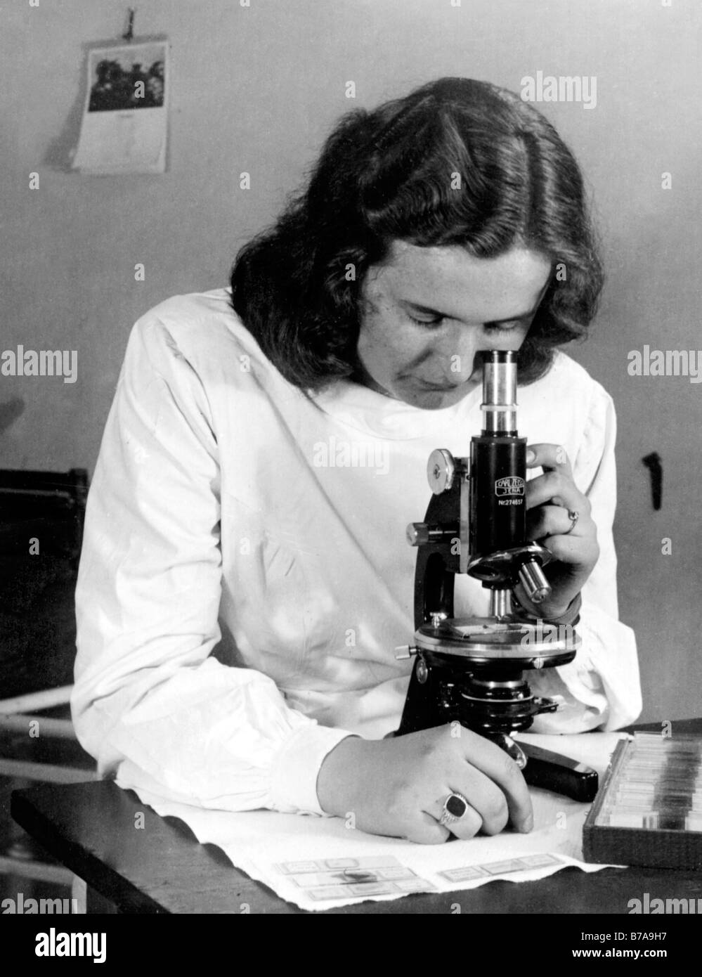Historisches Foto, Frau mit Mikroskop, ca. 1940 Stockfoto