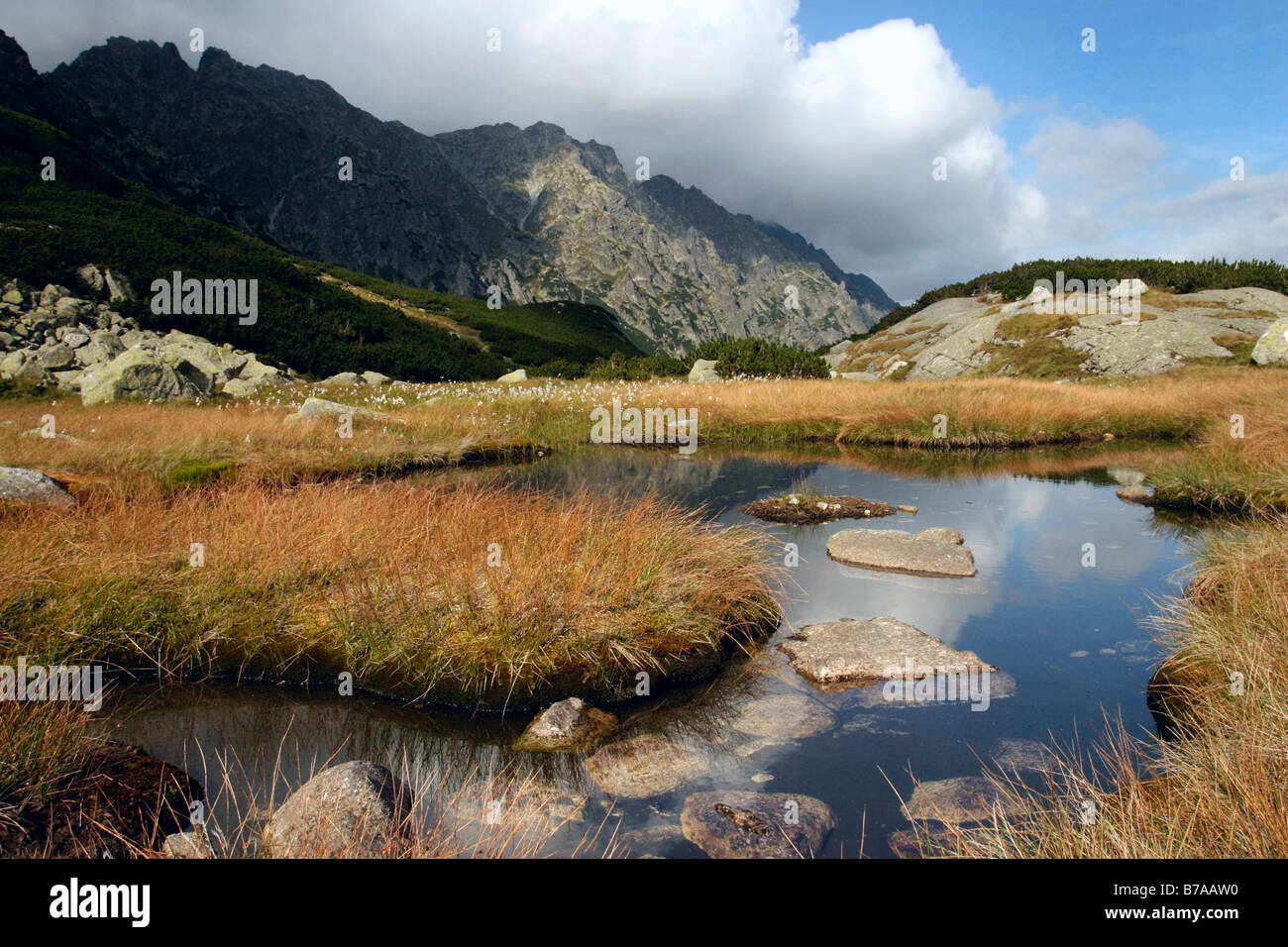 Pieciu Stawow Polskich Tal, Tatra Mountains Nationalpark, Polen, Europa Stockfoto