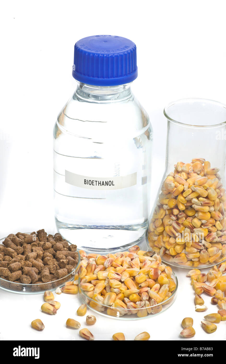 Bioethanol und Lebensmittel aus Bioethanol-Anlage mit unverarbeiteten Mais Stockfoto
