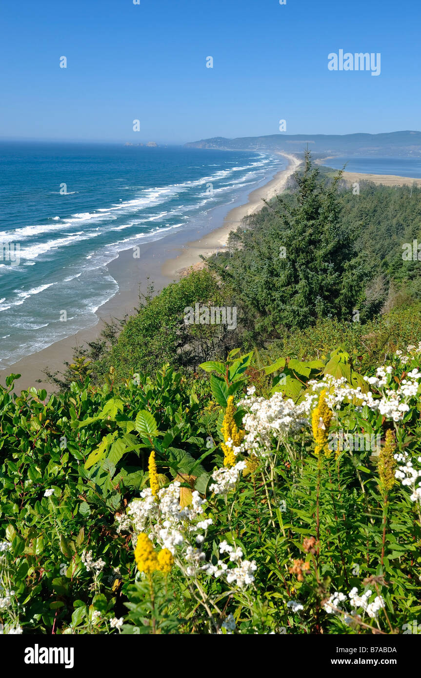 Netarts Bay, Cape Lookout State Park, Oregon, Oregon, USA, Nordamerika Stockfoto