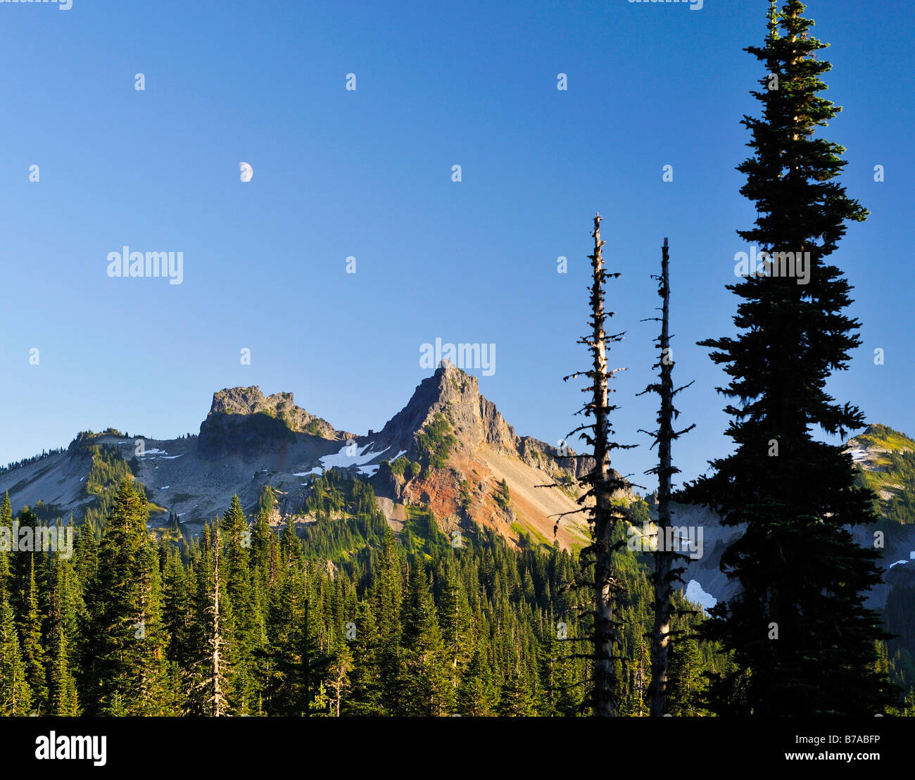 Freiraum für Text, Castle Peak, Mount-Rainier-Nationalpark, Washington, USA, Nordamerika Stockfoto