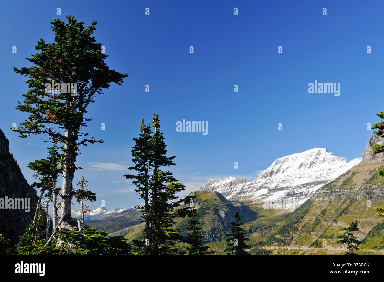 Freiraum für Text, Logan Pass, Hauptattraktion des Glacier National Park, Montana, USA, Nordamerika Stockfoto