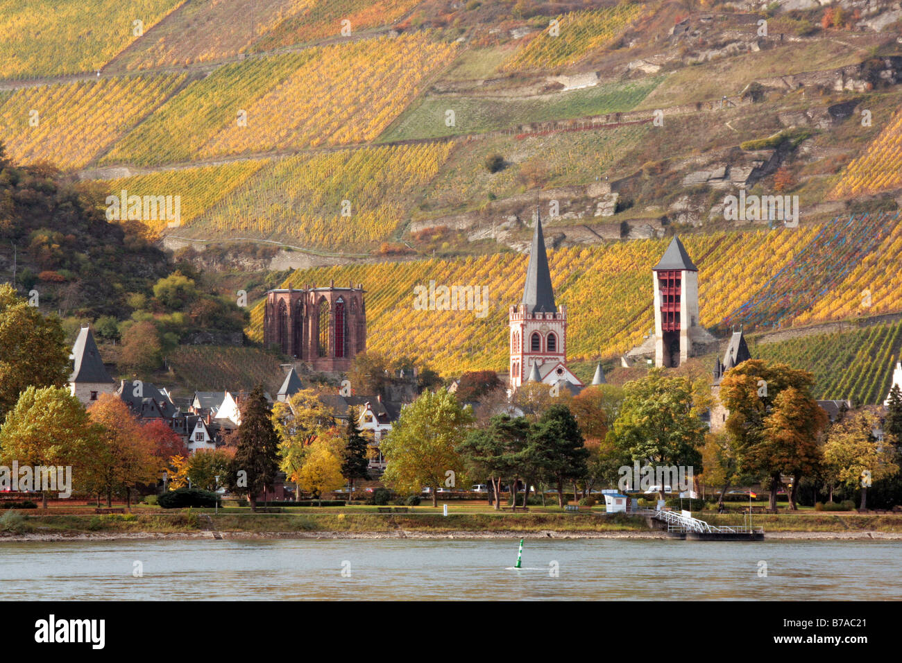 Vineyard slope at bacharach river rhine Fotos und Bildmaterial in