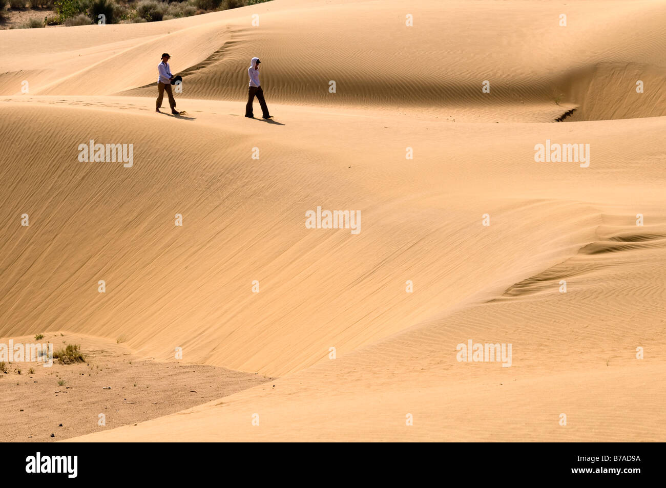 Thar-Wüste. Jaisalmer. Rajasthan. Indien. Stockfoto