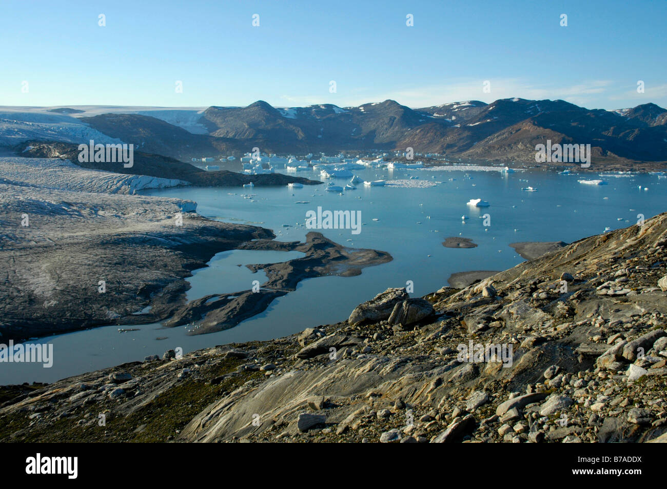 Eisschild Einfassung, Gletscher Eisberge im Wasser, Nagtivit, Kangertivat-Fjord, Ostgrönland Stockfoto