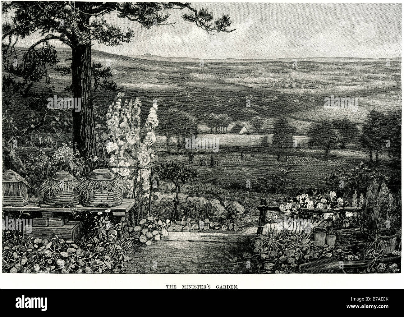 des Ministers Garten Biene Hütte Bienenstock Topf Pflanze im Garten Orchideen Baum Weg Landschaft Park Sommer draußen wild Stockfoto