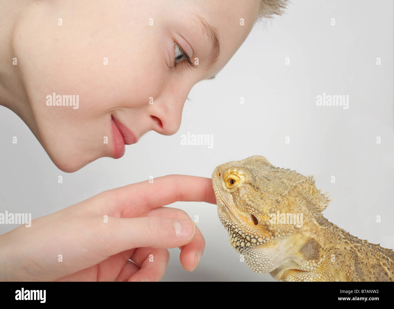 Nahaufnahme der kleine Junge Petting australische Bartagame Eidechse Stockfoto