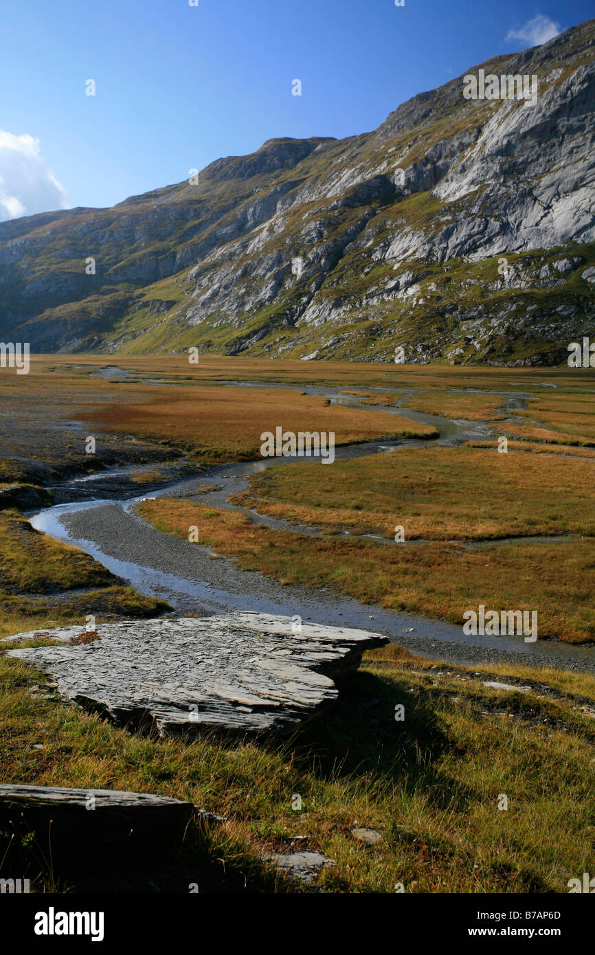 Ebene mit einem mäandernden Gletscherfluss in das UNESCO-Weltnaturerbe, Glarus Schub, Swiss Tectonic Arena Sard zu überfluten Stockfoto