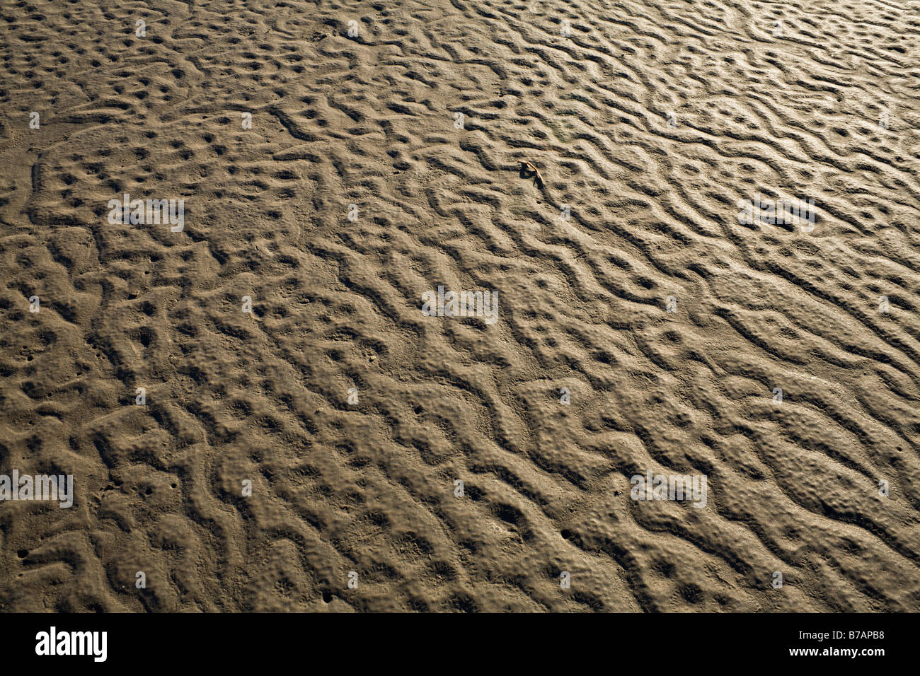 Texturen in den Sand in der Nähe von einem Salzsee, Texas, Vereinigte Staaten Stockfoto