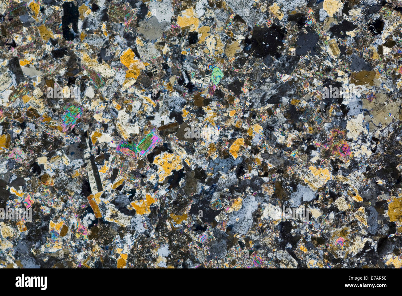 Mikrophotographie eines Aplite Granit-Folie-Sektion Kreuz polarisiertes Licht zeigt Differenzierung zwischen den verschiedenen Mineralien. Stockfoto