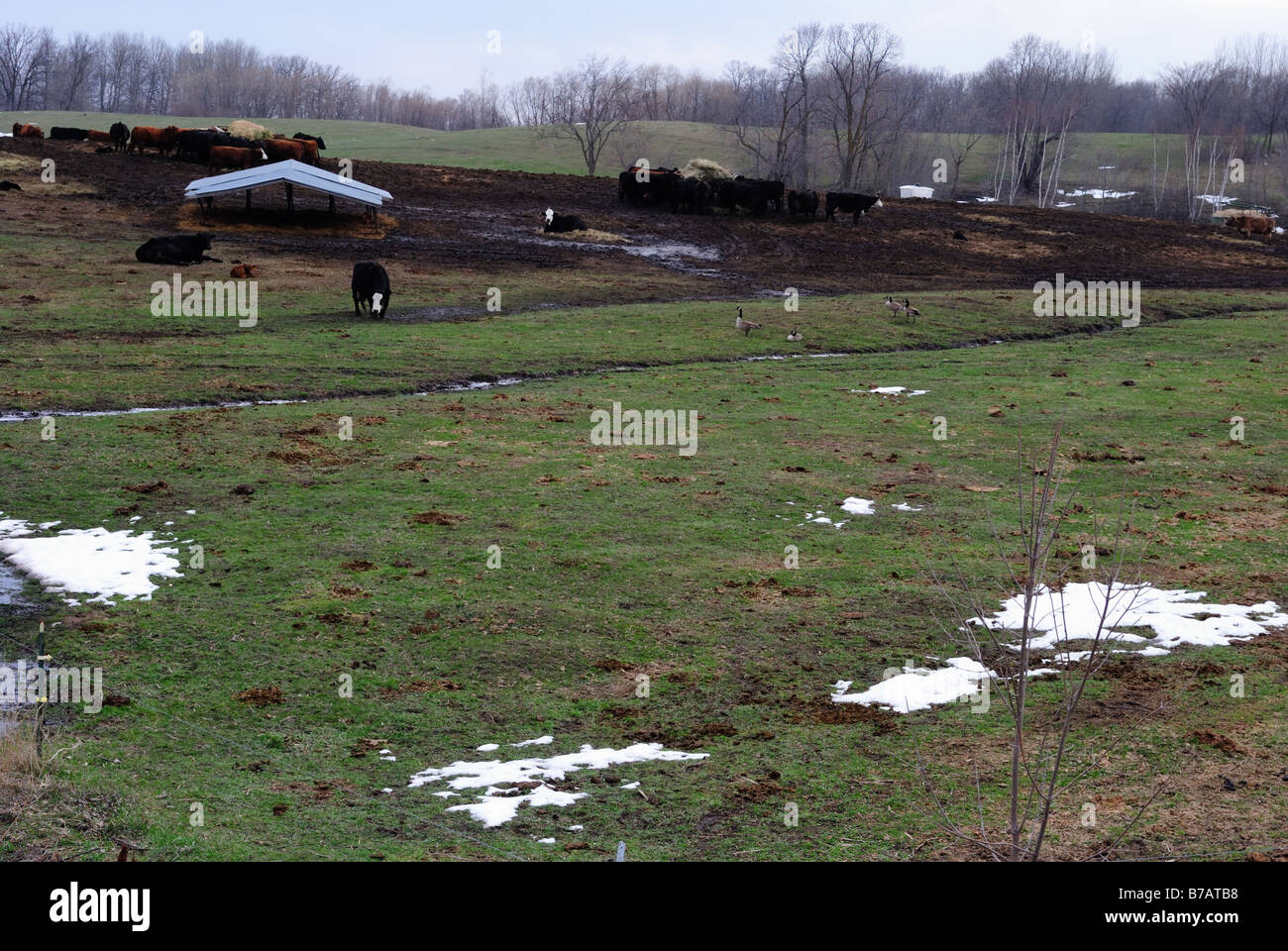 Feedlot Abfluss Stockfoto