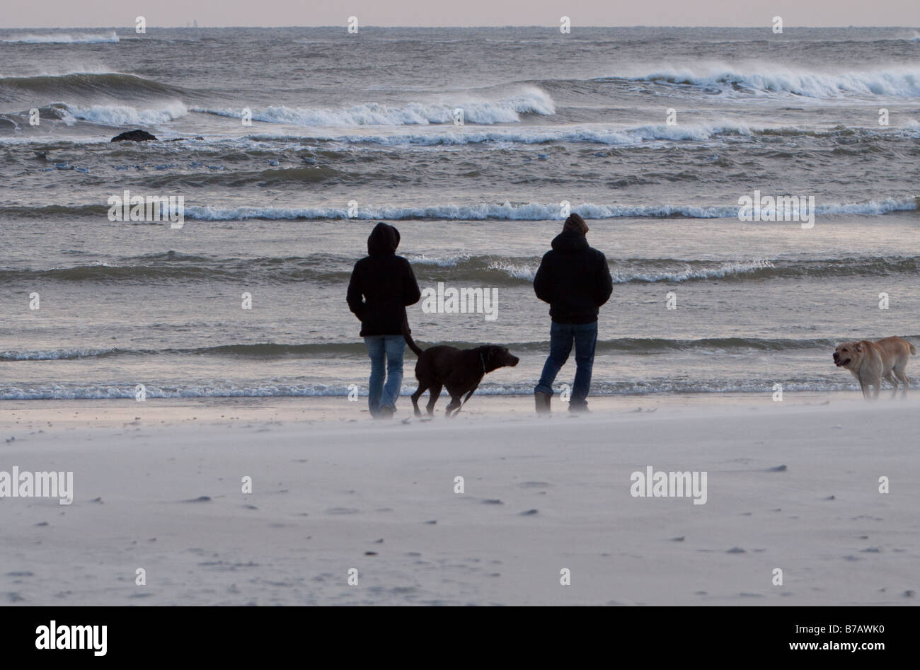 Paar am Strand mit zwei Hunde an einem windigen Wintertag Stockfoto