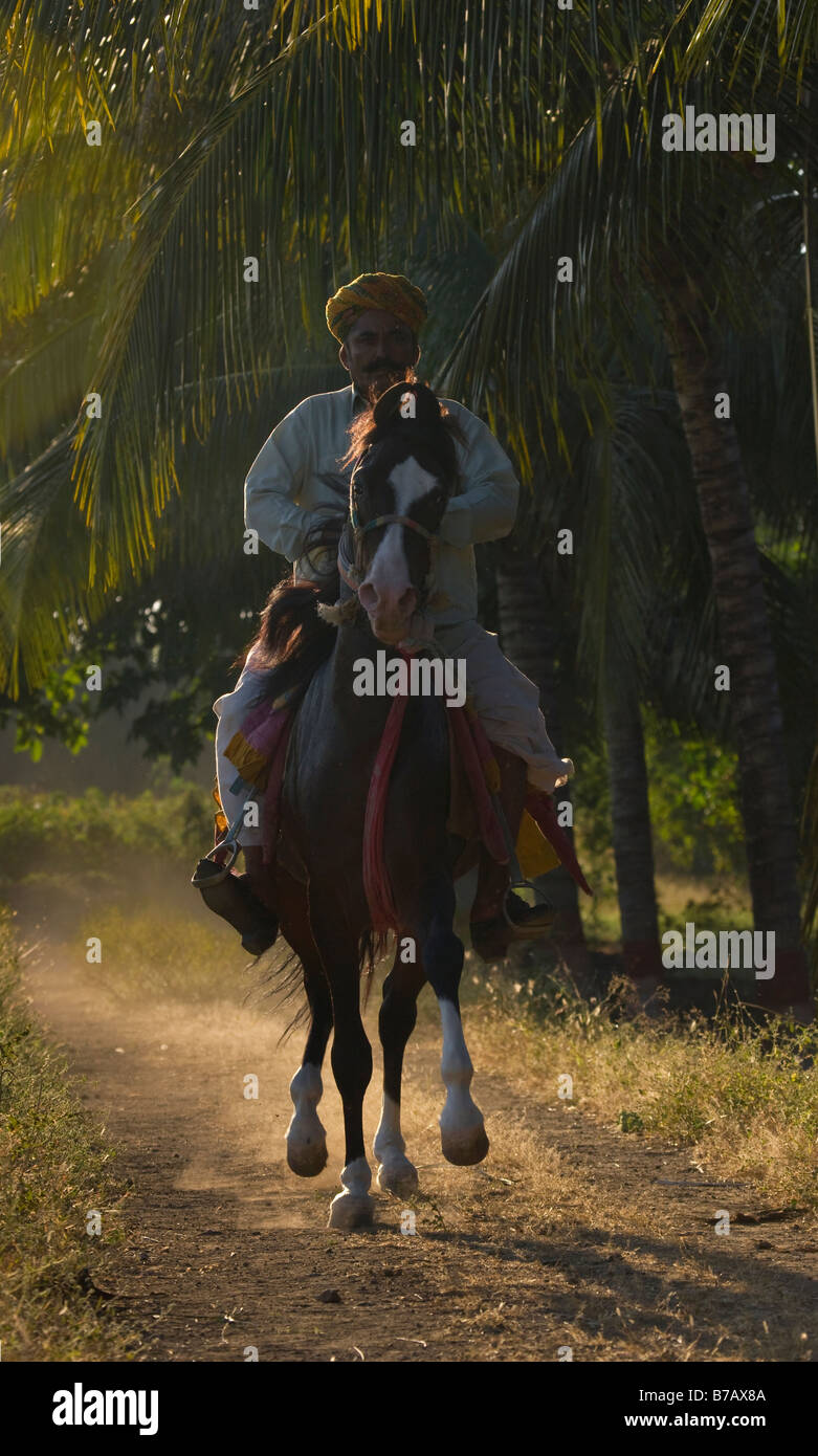 Pferd-Indien gebogenen Ohren exotische Asien asiatisch Indianer Stockfoto