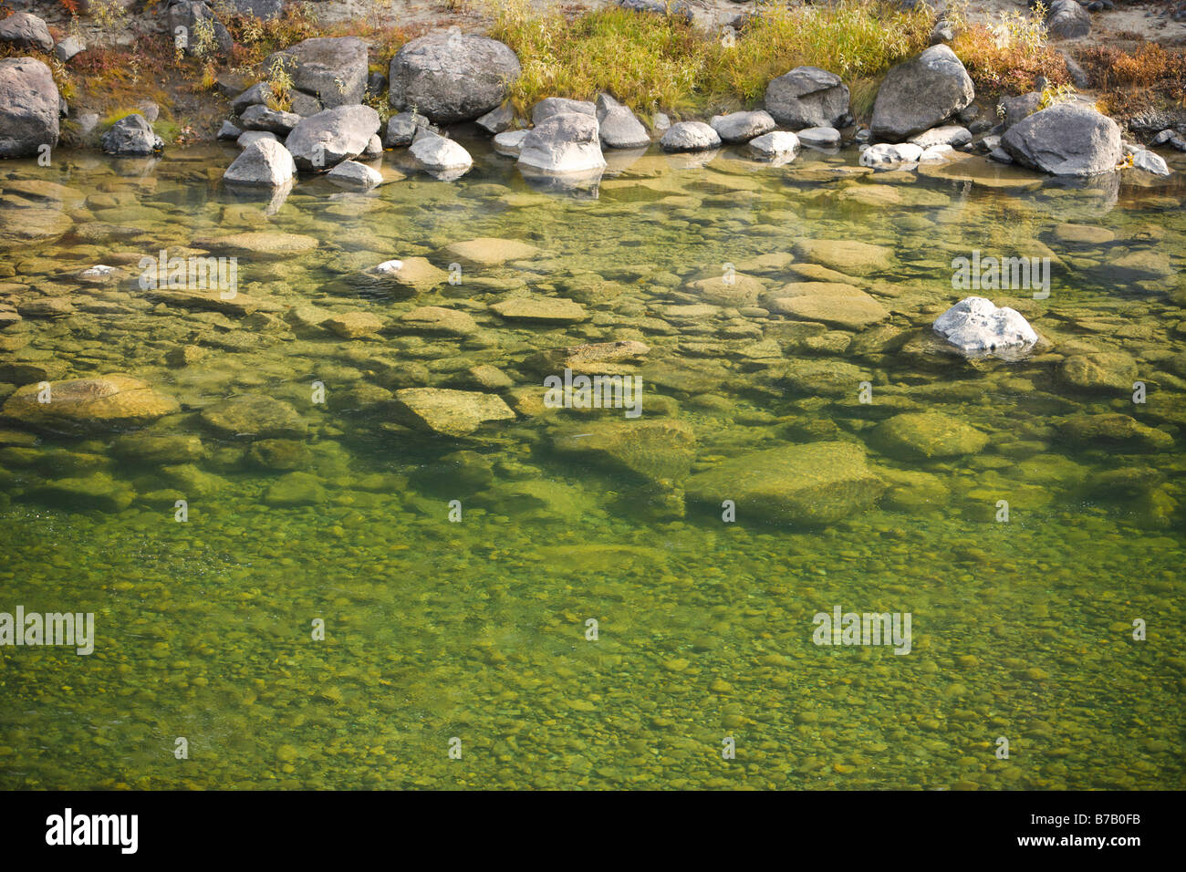 Nahaufnahme des Similkameen River, in der Nähe von Princeton, British Columbia, Kanada Stockfoto