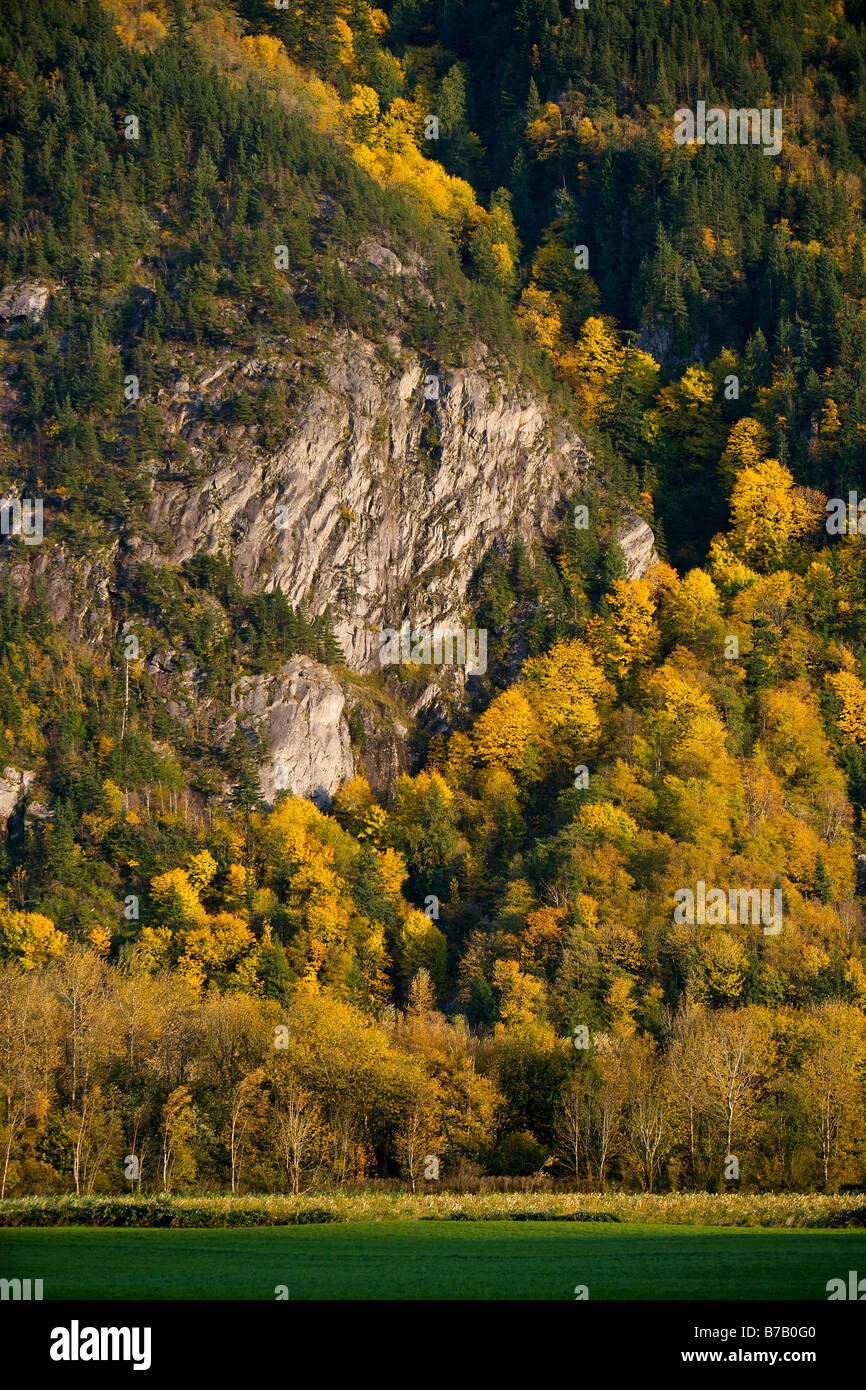 Herbstszene in der Nähe von Hope, Britisch-Kolumbien, Kanada Stockfoto