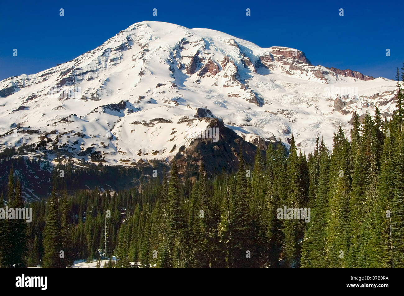 Mount Rainier an einem klaren sonnigen Tag im späten Frühjahr Stockfoto