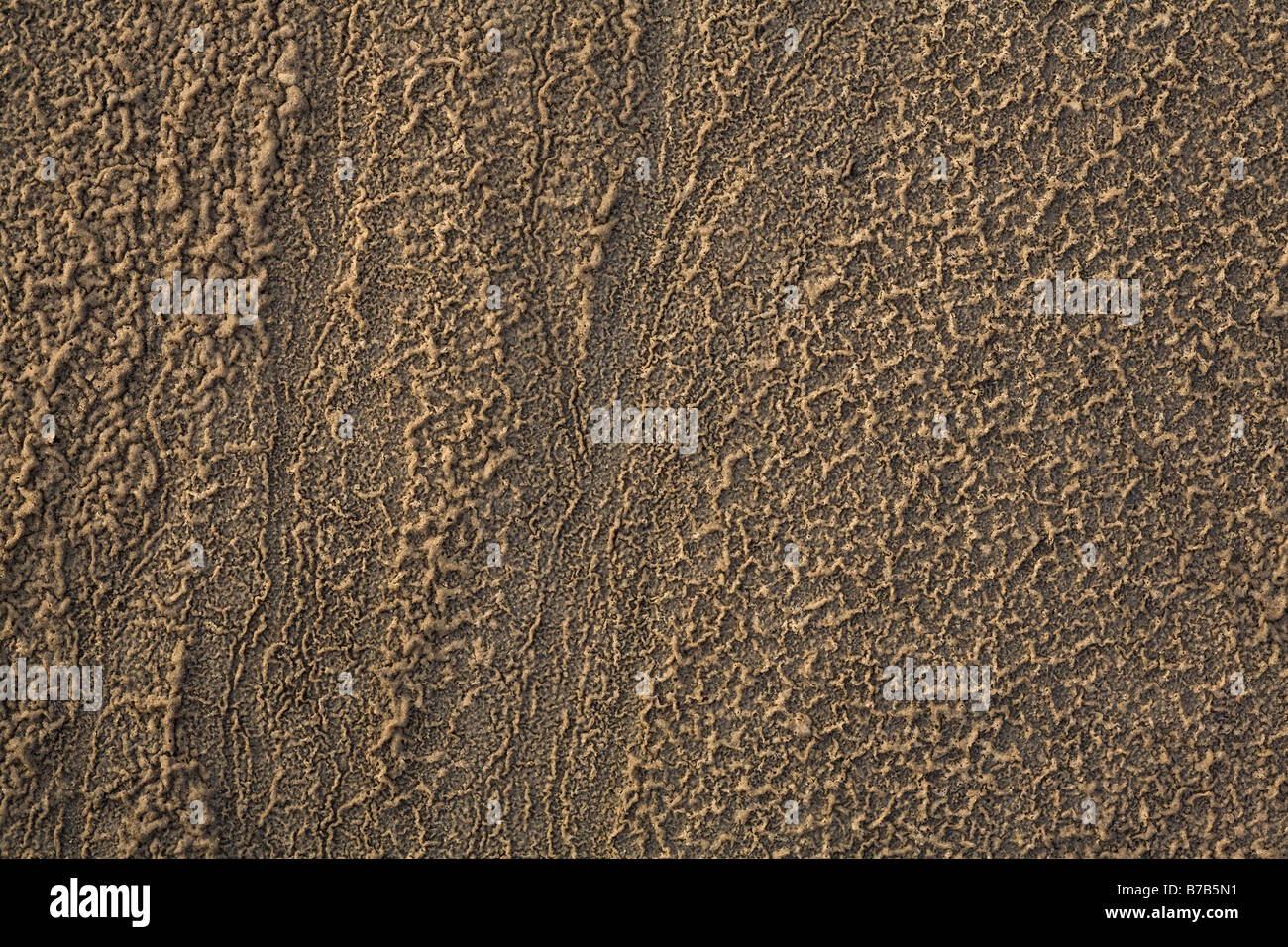 Texturen im Sand von einem ausgetrockneten Salzsee, Texas, Vereinigte Staaten Stockfoto