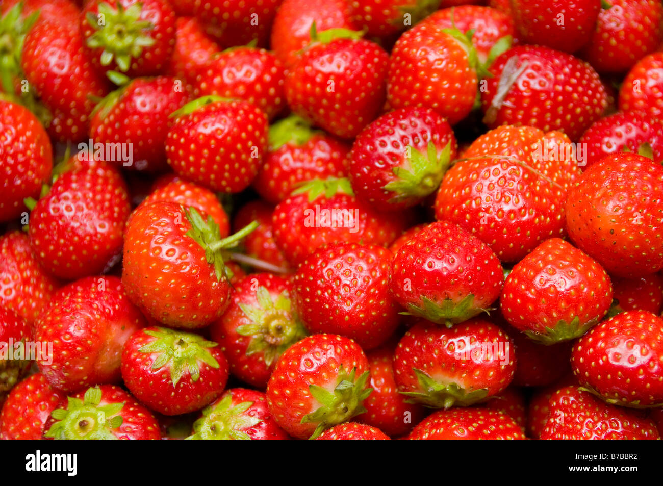 Erdbeeren Stockfoto