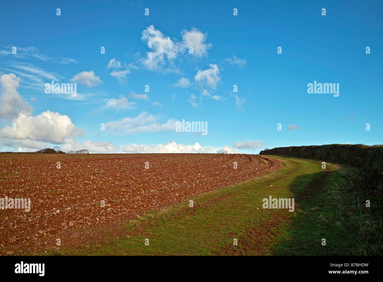 Ackerland in der Nähe von Frodsham in Cheshire, England, uk Stockfoto