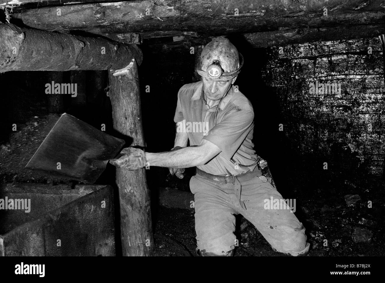 Bergmann, Schaufeln Kohlenmine in Straßenbahn u-Bahn bei Blaencuffin Kohle am Berghang oberhalb Pontypool Torfaen South Wales UK Stockfoto