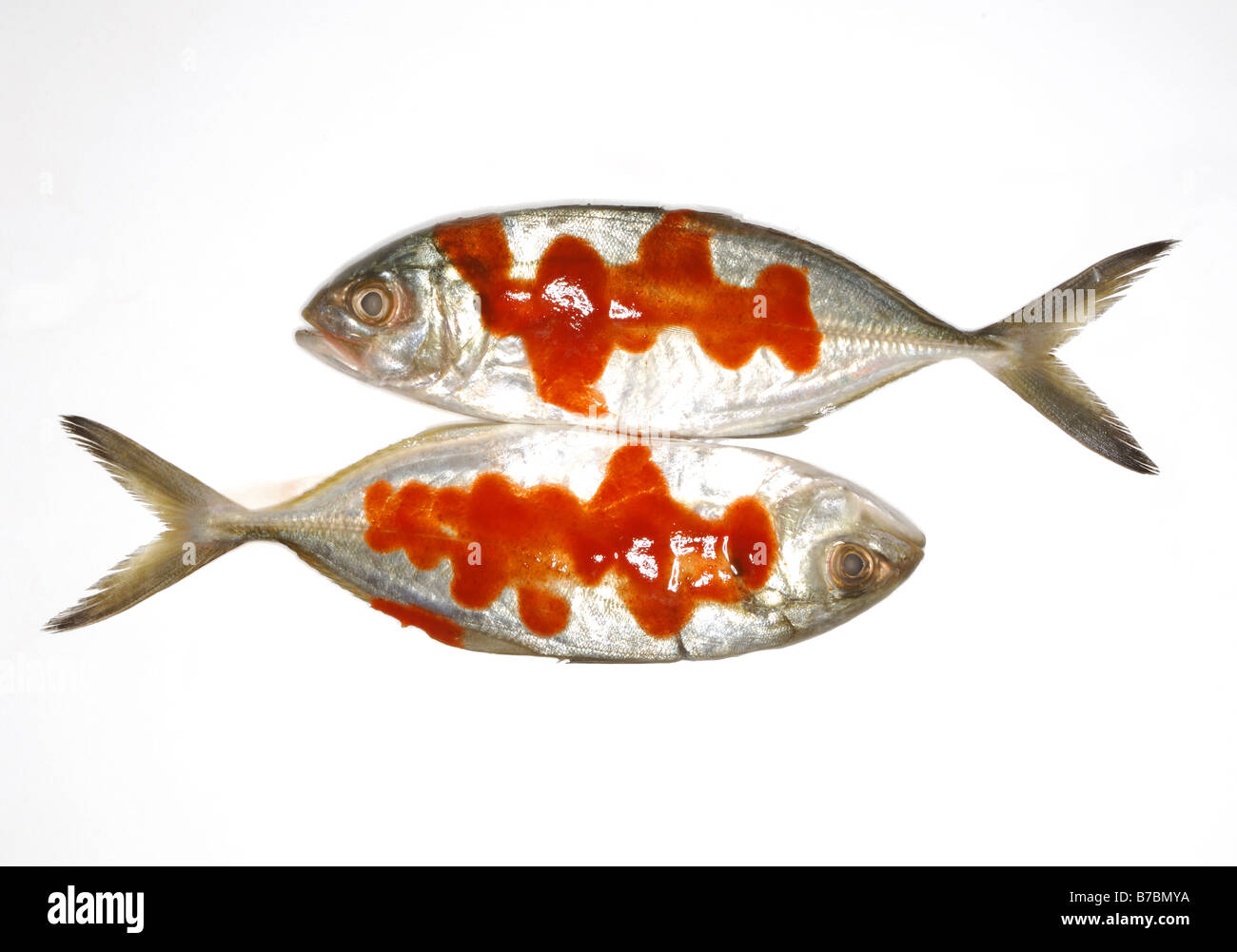 Zwei ganze Fische mit roter heiße würzige Soße Stockfoto