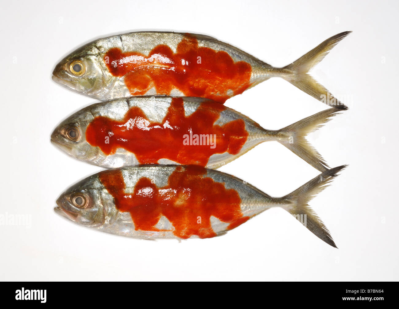 Drei ganze Fische mit roter heiße würzige Soße Stockfoto