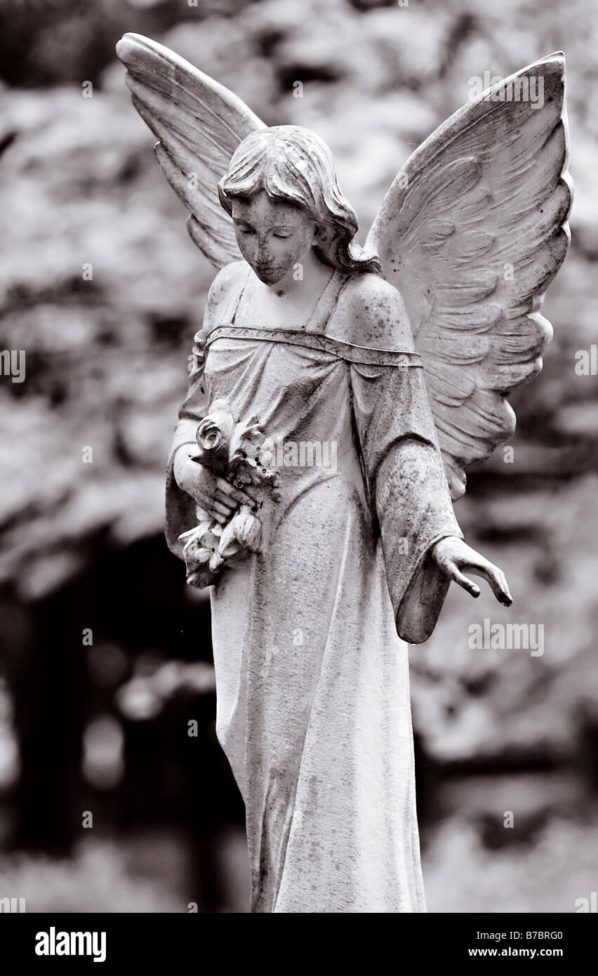 Reihe von Friedhof Engel und Denkmäler aus New Orleans und Houston Stockfoto